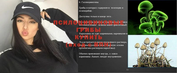трава Белокуриха