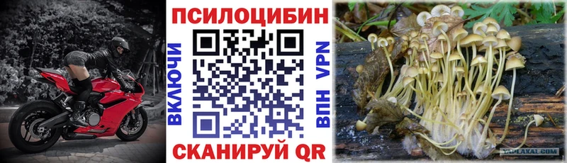 Псилоцибиновые грибы Psilocybine cubensis  Купино 